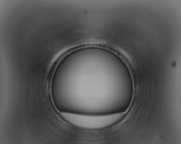 X0000090441310200707131021