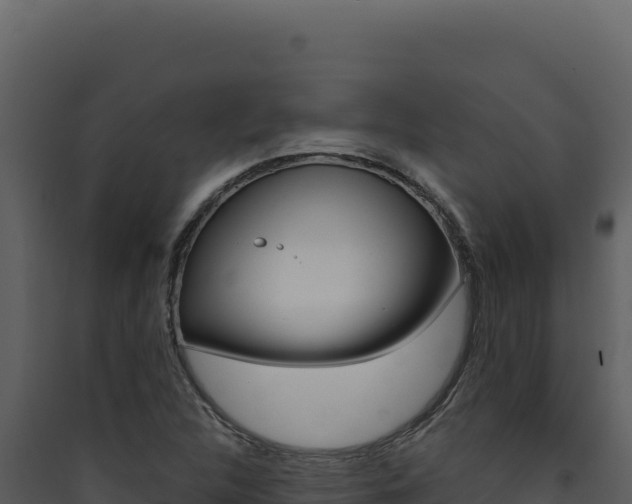 X0000090441312200707131021