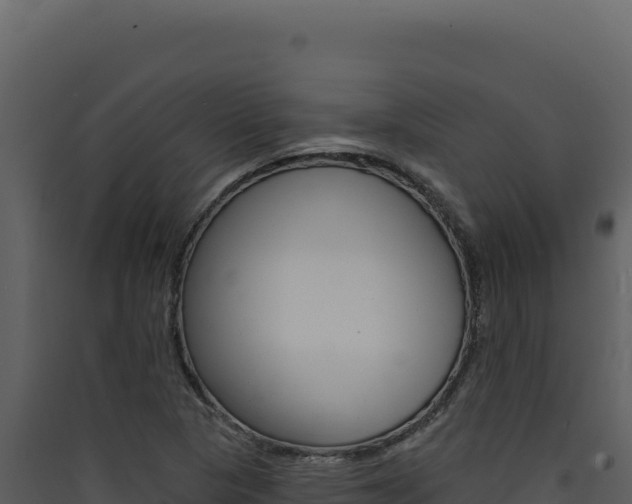 X0000090441313200707131021