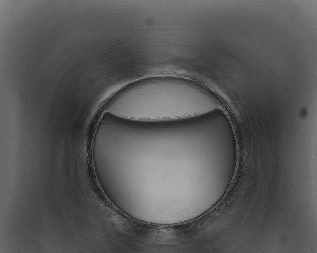 X0000090441315200707131021