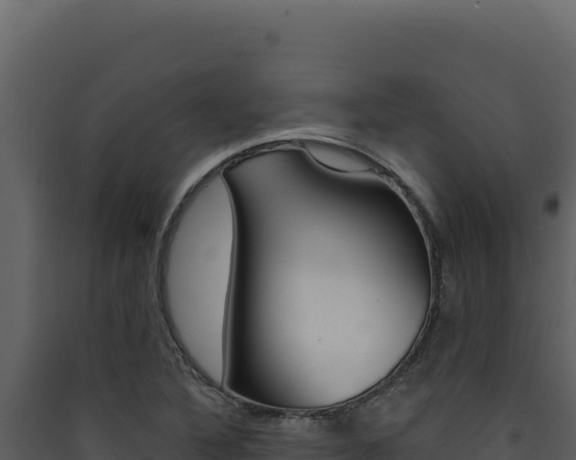 X0000090441316200707131021