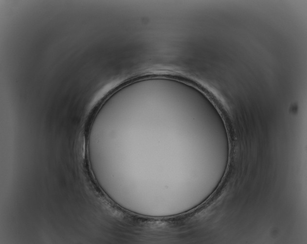 X0000090441317200707131021