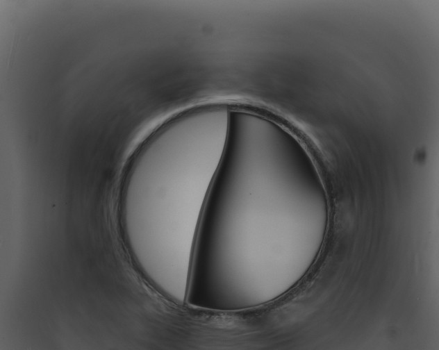 X0000090441319200707131021