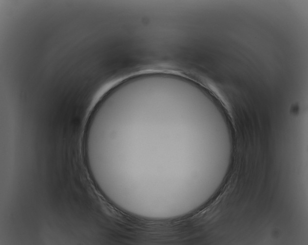 X0000090441320200707131021