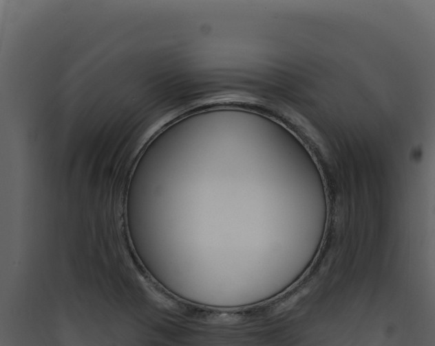 X0000090441321200707131021
