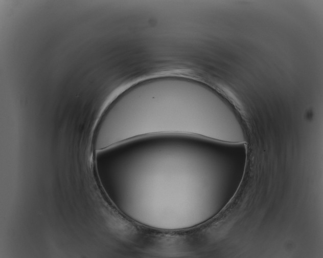 X0000090441324200707131022
