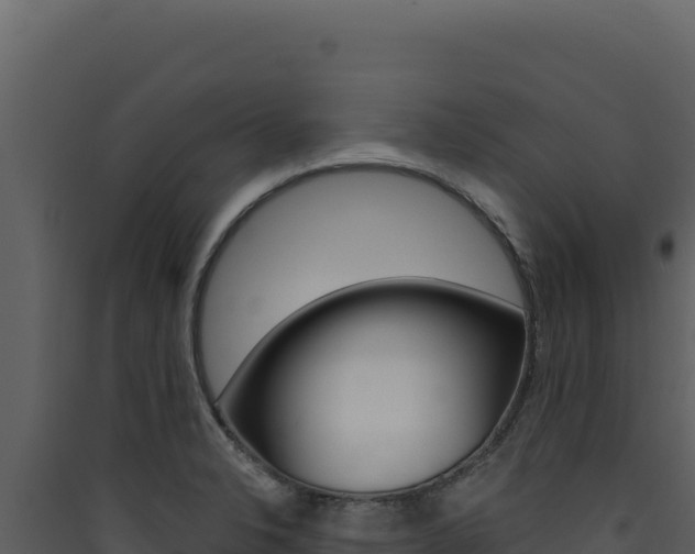 X0000090441326200707131022
