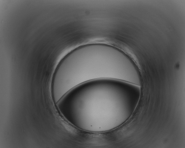 X0000090441328200707131022