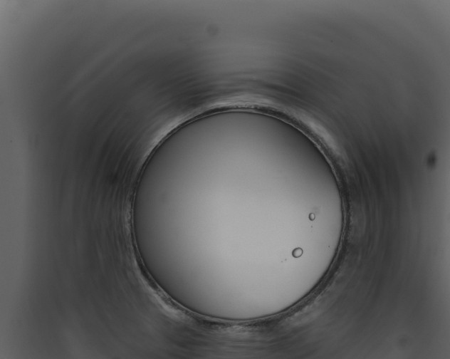 X0000090441329200707131022