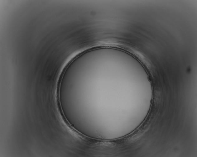 X0000090441331200707131022