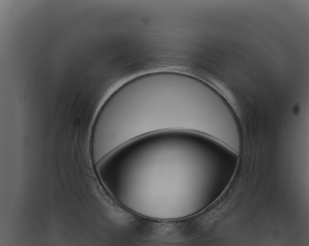 X0000090441332200707131022