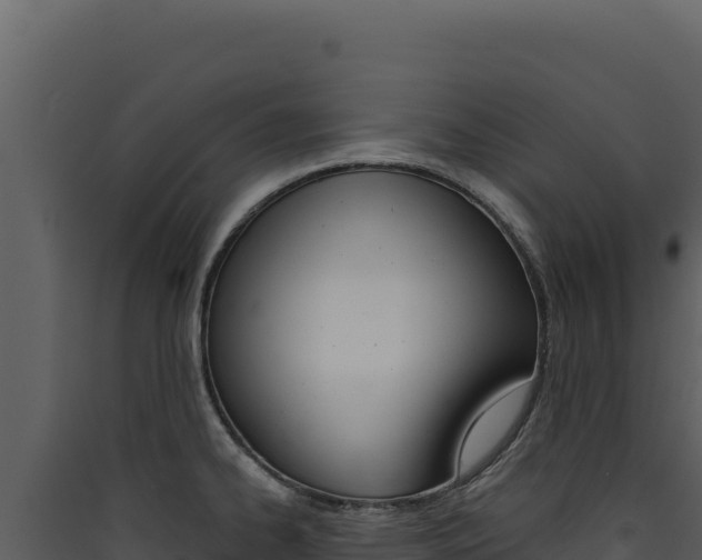 X0000090441334200707131022