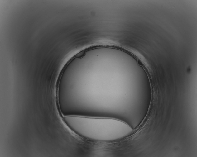 X0000090441335200707131022