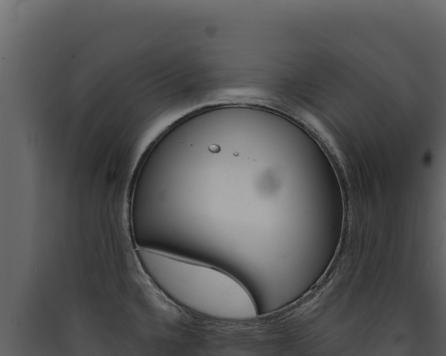 X0000090441336200707131022