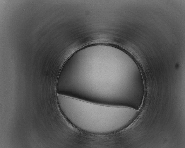 X0000090441337200707131022