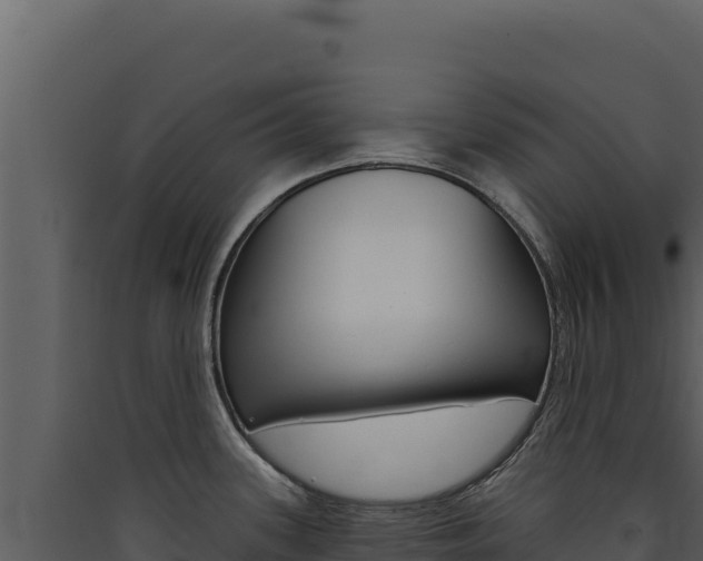X0000090441339200707131022