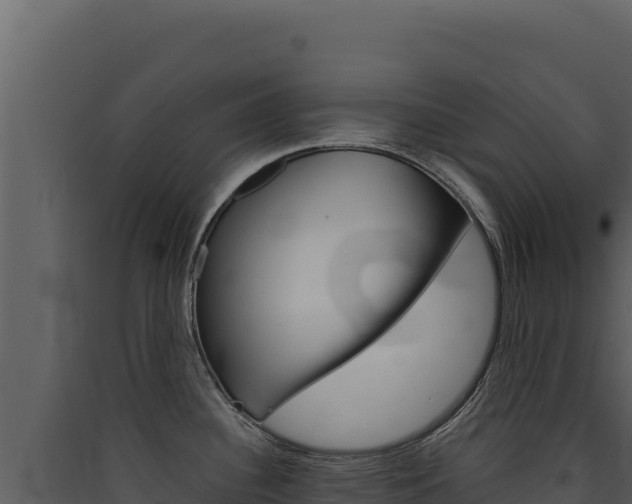 X0000090441340200707131022
