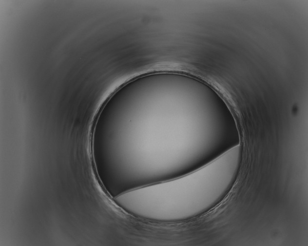 X0000090441342200707131022