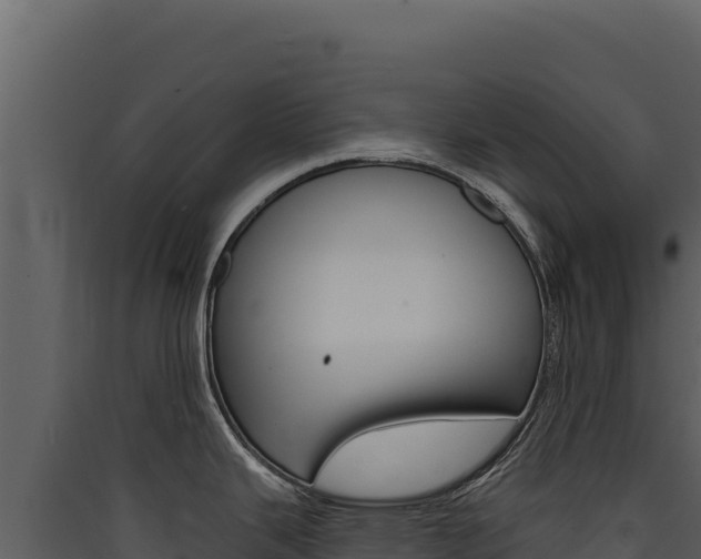 X0000090441343200707131022