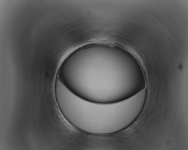 X0000090441344200707131022
