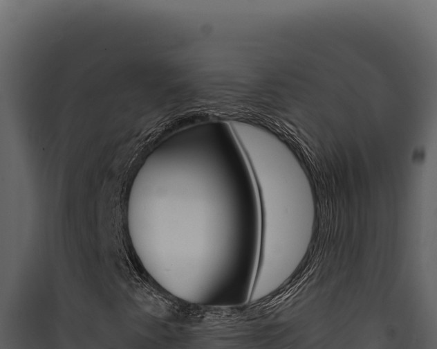 X0000090441345200707131021