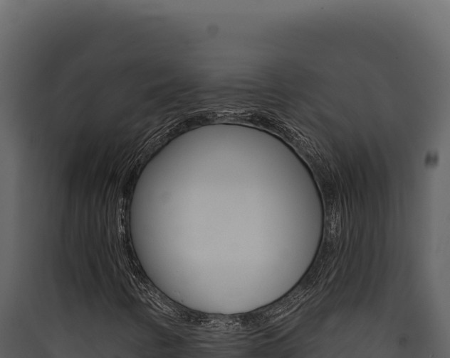 X0000090441346200707131021