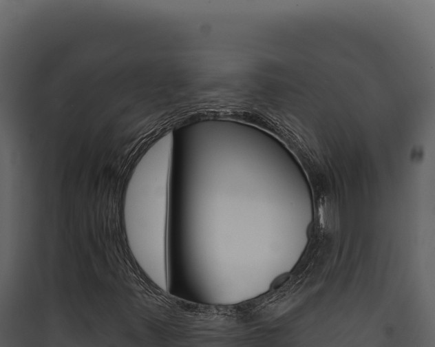 X0000090441347200707131021
