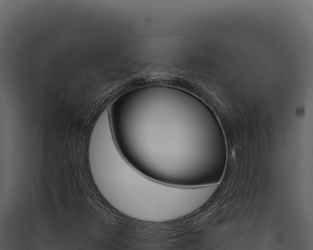 X0000090441348200707131021