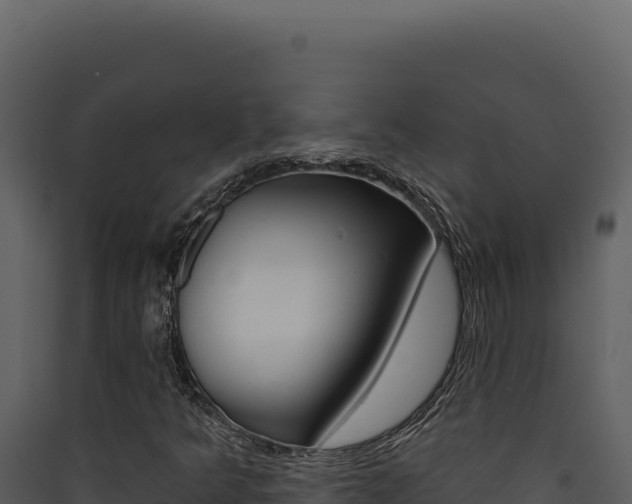 X0000090441349200707131021
