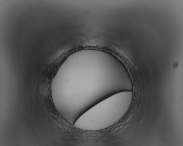 X0000090441350200707131021