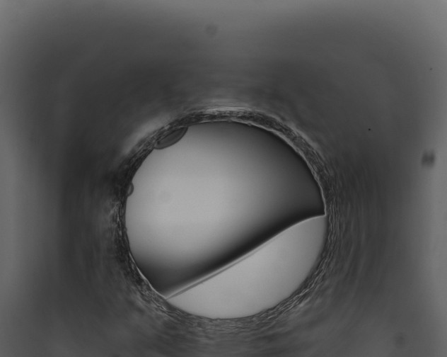 X0000090441351200707131021