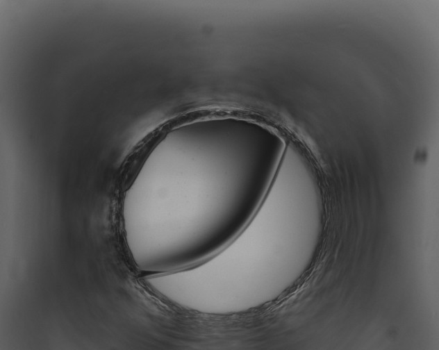 X0000090441352200707131021