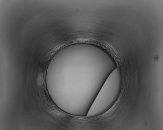 X0000090441353200707131021