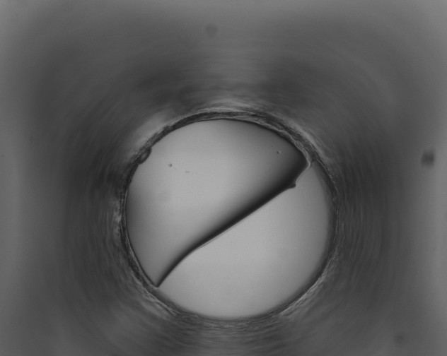 X0000090441355200707131021