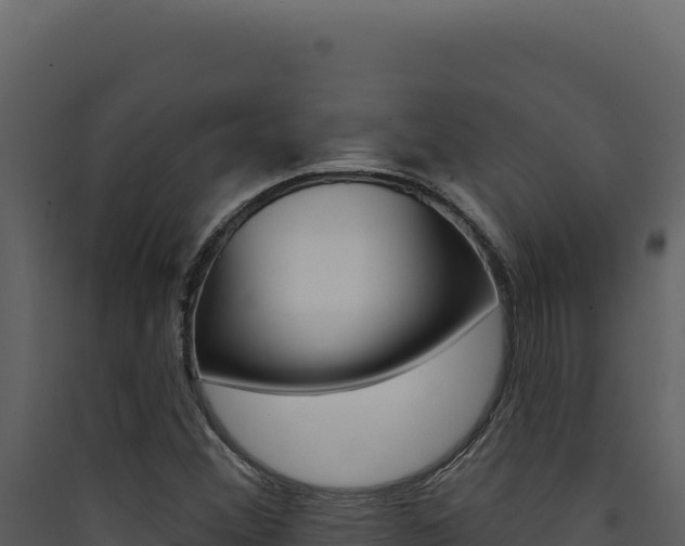 X0000090441356200707131021