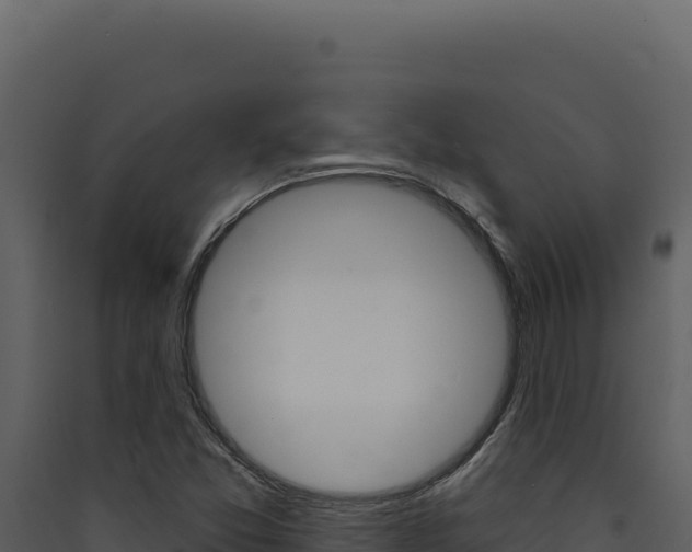 X0000090441357200707131021