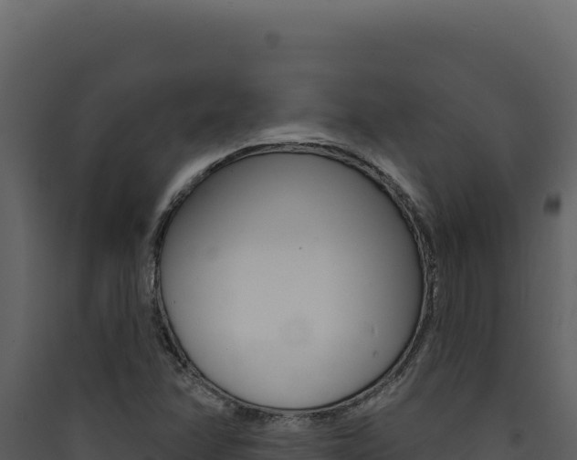 X0000090441358200707131021