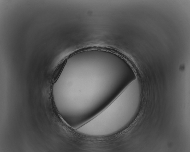 X0000090441359200707131021