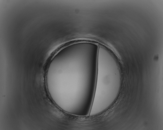 X0000090441360200707131021