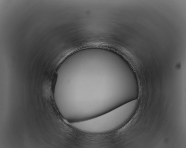 X0000090441361200707131021