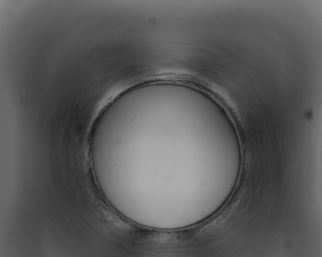 X0000090441362200707131021