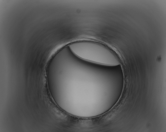 X0000090441363200707131021