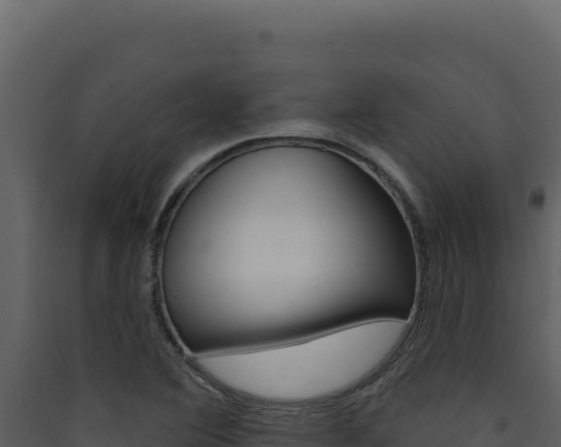 X0000090441364200707131021