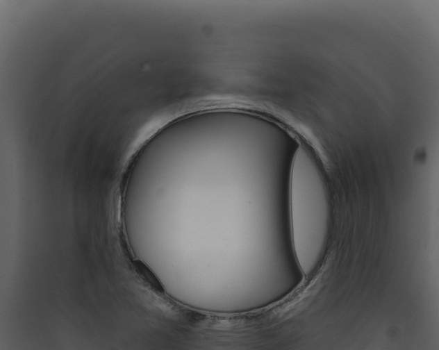 X0000090441365200707131021