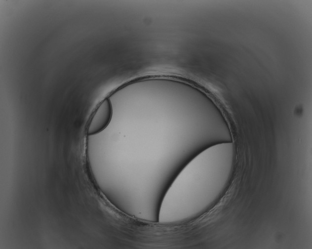 X0000090441366200707131021