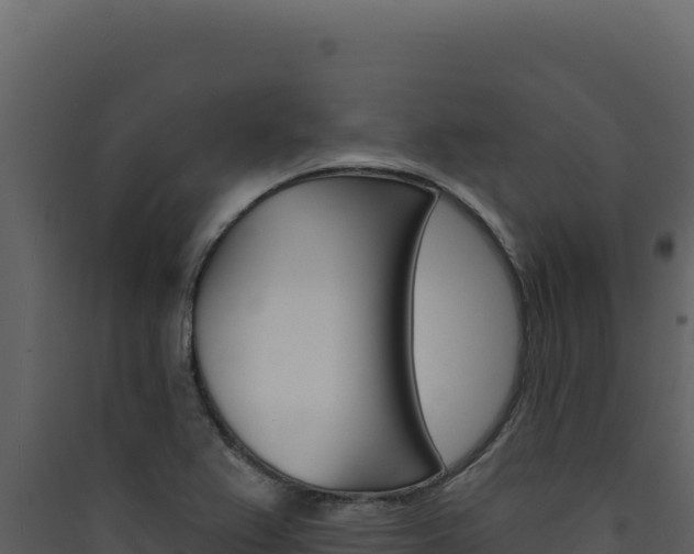 X0000090441367200707131021