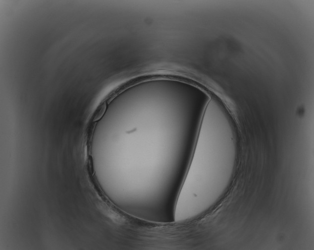 X0000090441368200707131021