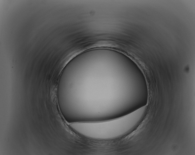 X0000090441369200707131021