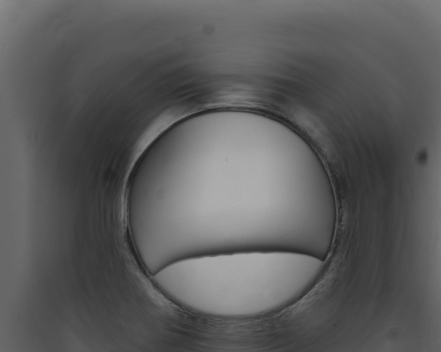 X0000090441370200707131021