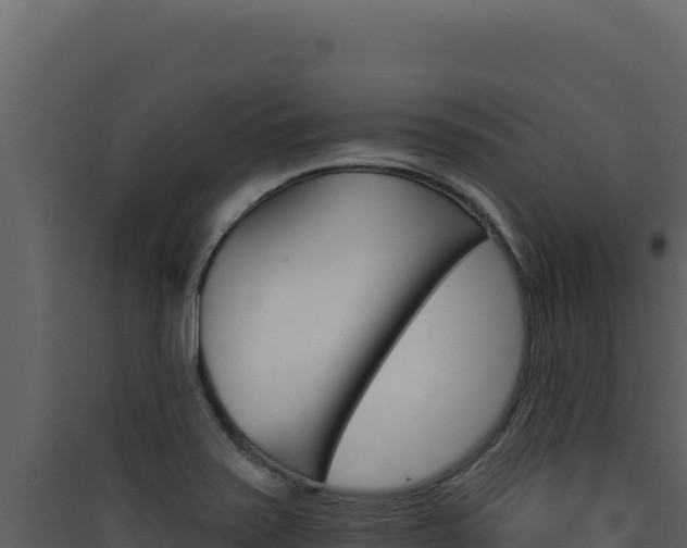 X0000090441371200707131021
